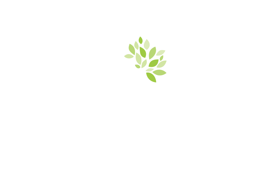 Nine South